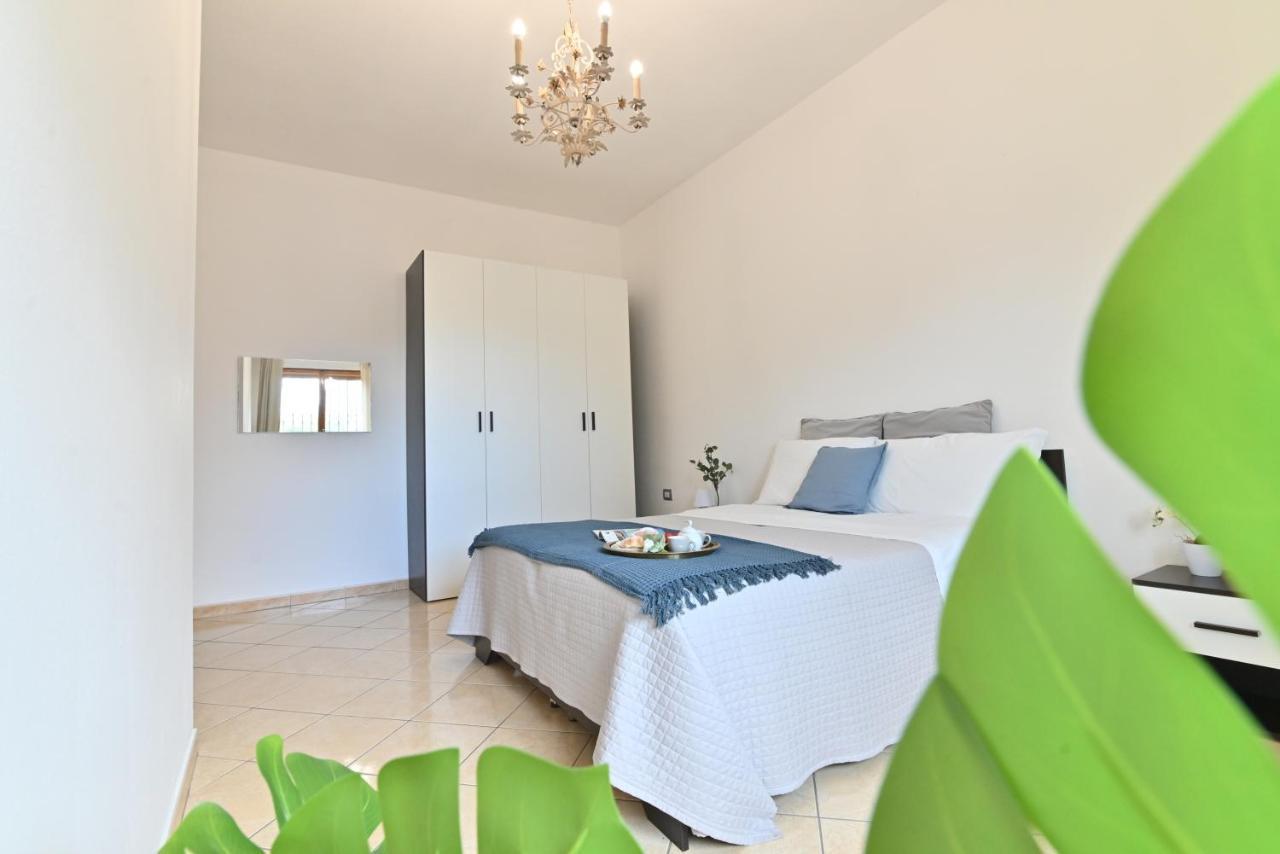 Izzhome Flamingo بولا المظهر الخارجي الصورة